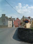 limerick county town - flower baskets.jpg